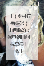 （乡村行·看振兴）山西临汾：保电到田间 抗旱保丰收