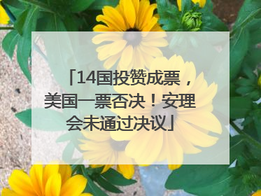 14国投赞成票，美国一票否决！安理会未通过决议