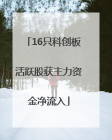 16只科创板活跃股获主力资金净流入