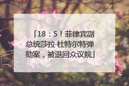 18：5！菲律宾副总统莎拉·杜特尔特弹劾案，被退回众议院