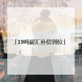 19吨碳汇补偿到位