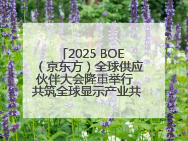 2025 BOE（京东方）全球供应伙伴大会隆重举行 共筑全球显示产业共生共赢新格局