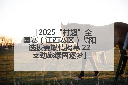 2025“村超”全国赛（江西赛区）弋阳选拔赛燃情揭幕 22支劲旅绿茵逐梦