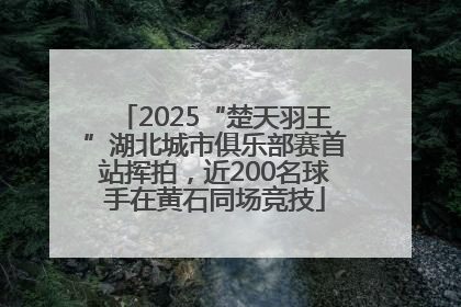 2025“楚天羽王”湖北城市俱乐部赛首站挥拍，近200名球手在黄石同场竞技