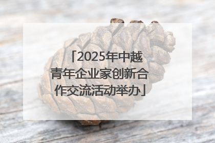 2025年中越青年企业家创新合作交流活动举办