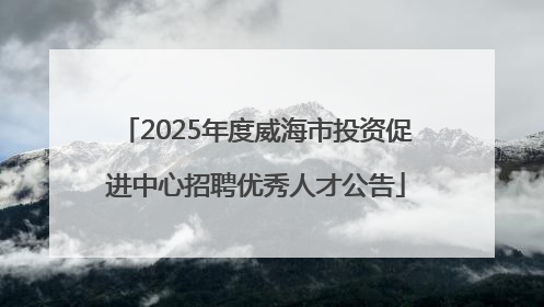 2025年度威海市投资促进中心招聘优秀人才公告