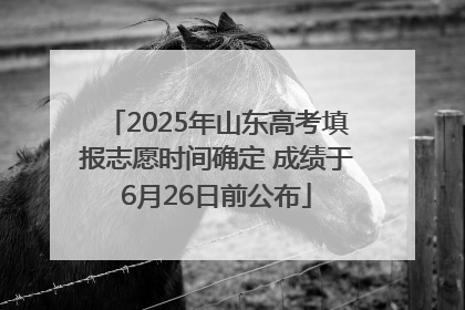 2025年山东高考填报志愿时间确定 成绩于6月26日前公布