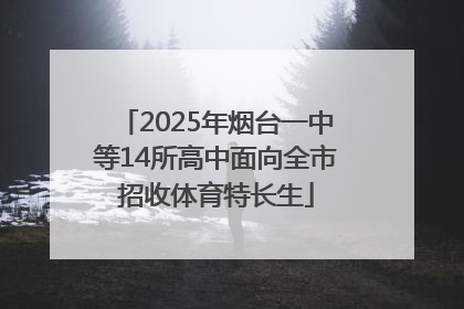2025年烟台一中等14所高中面向全市招收体育特长生