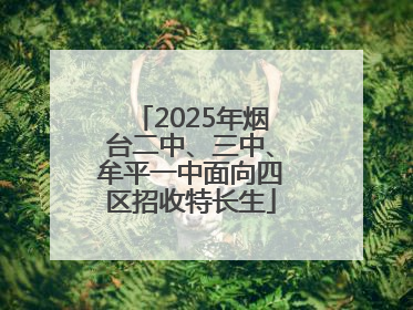 2025年烟台二中、三中、牟平一中面向四区招收特长生