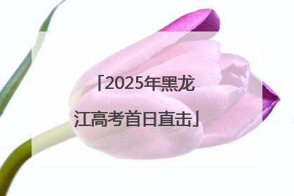2025年黑龙江高考首日直击