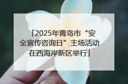 2025年青岛市“安全宣传咨询日”主场活动在西海岸新区举行