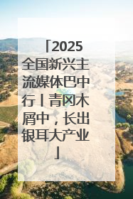 2025全国新兴主流媒体巴中行丨青冈木屑中，长出银耳大产业