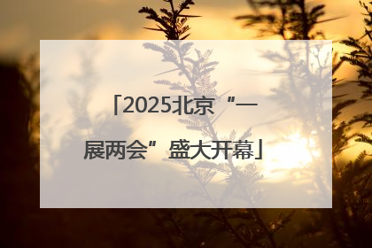 2025北京“一展两会”盛大开幕