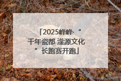 2025峰峰·“千年瓷都 滏源文化”长跑赛开跑