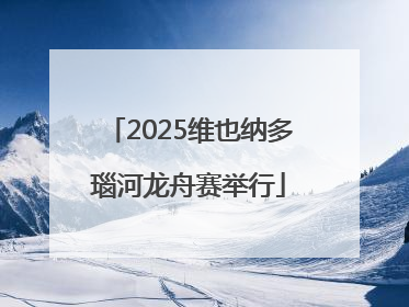 2025维也纳多瑙河龙舟赛举行