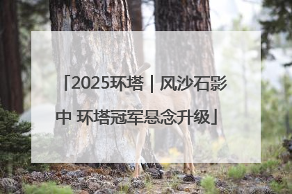 2025环塔｜风沙石影中 环塔冠军悬念升级