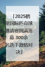 2025鹤壁国际匹克球邀请赛圆满落幕 300余名选手激情对决