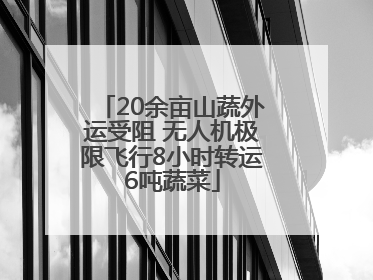 20余亩山蔬外运受阻 无人机极限飞行8小时转运6吨蔬菜