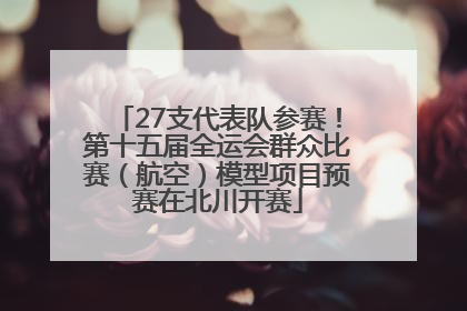 27支代表队参赛！第十五届全运会群众比赛（航空）模型项目预赛在北川开赛