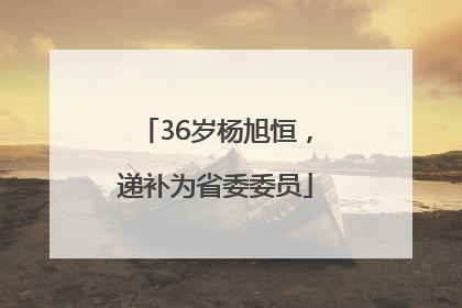 36岁杨旭恒，递补为省委委员