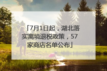 7月1日起，湖北落实离境退税政策，57家商店名单公布