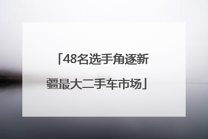 48名选手角逐新疆最大二手车市场