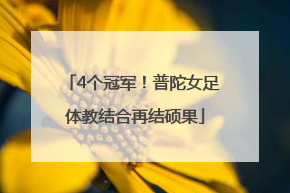 4个冠军！普陀女足体教结合再结硕果