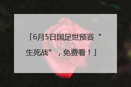 6月5日国足世预赛“生死战”，免费看！