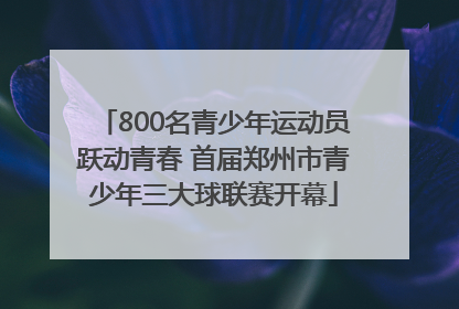 800名青少年运动员跃动青春 首届郑州市青少年三大球联赛开幕
