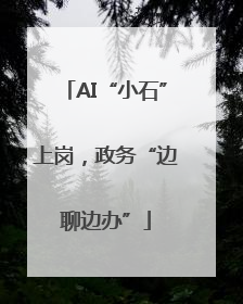 AI“小石”上岗，政务“边聊边办”