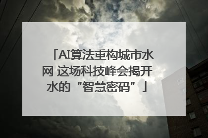 AI算法重构城市水网 这场科技峰会揭开水的“智慧密码”