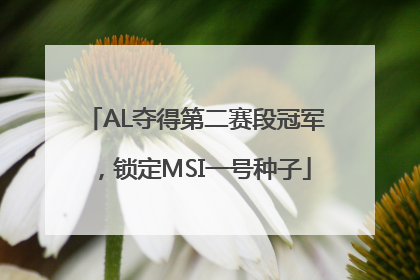 AL夺得第二赛段冠军，锁定MSI一号种子