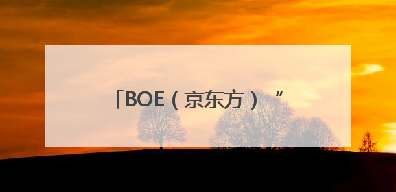 BOE（京东方）“照亮成长路”公益项目新十年启幕 科技无界照亮美好未来